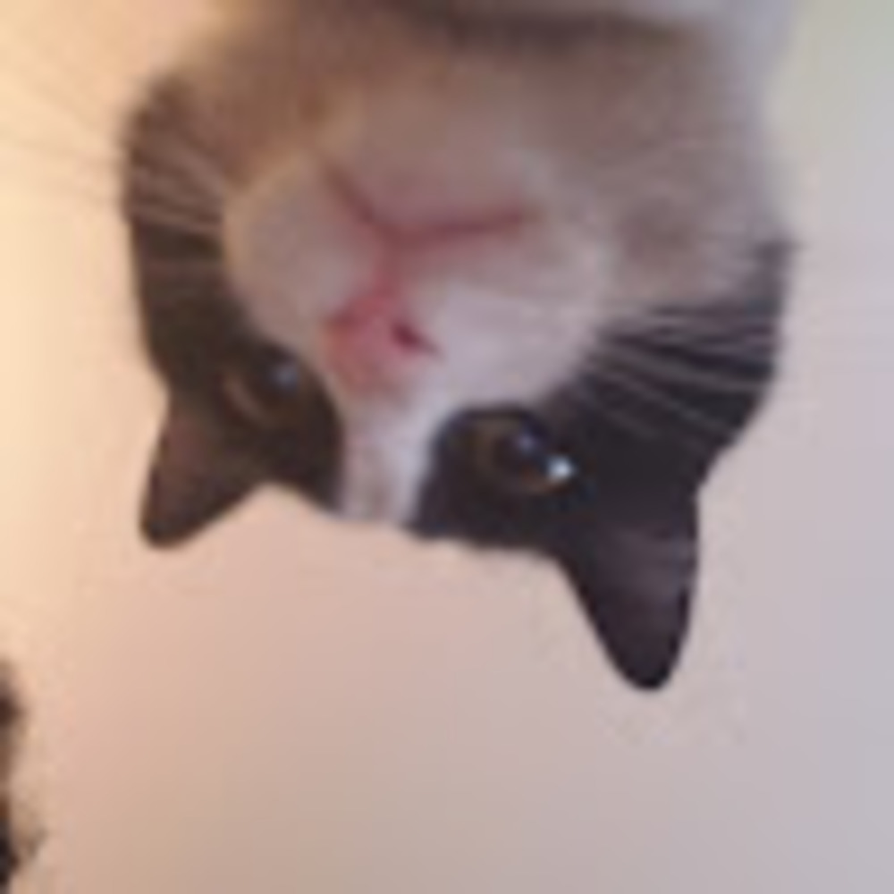 Meet your Posher, Michi